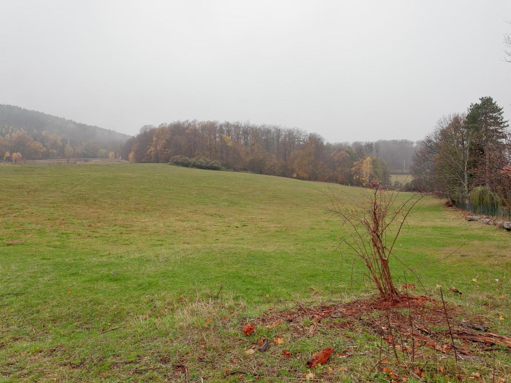 Attractive Bungalow In Ilsenburg With Terrace 外观 照片